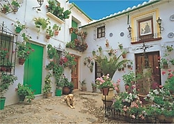 Keskin Color Süslü Ev 1000 Parça Puzzle