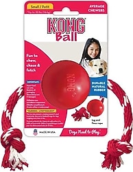 Kong 6.5 cm İpli Köpek Oyun Topu