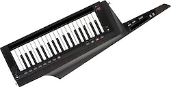 Korg RK-100S2-BK Keytar