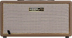Kozmos Flare-20 Dahili Efektli Elektro Gitar Amfisi