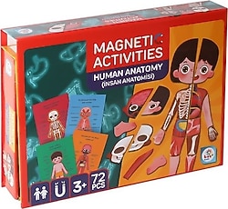 Laço Manyetik Aktivite İnsan Anatomisi LC986