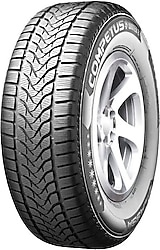 Lassa Competus Winter 2 Plus 205/70 R15 96H Kış Lastiği