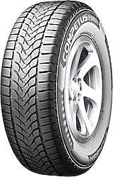 Lassa Competus Winter 2 Plus 215/60 R17 100V XL Kış Lastiği - 2026