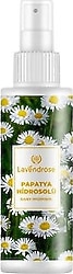 Lavendrose Papatya Hidrosolü 100 ml Saç Açıcı Sprey