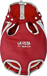 Lavista L Köpek Ana Kucağı
