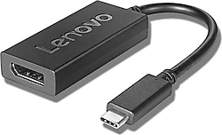 Lenovo 4X90Q93303 Type-C to DisplayPort Dönüştürücü