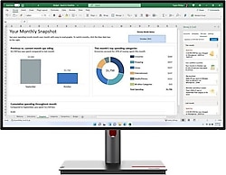 Lenovo ThinkVision P27H-30 27" 4 ms 2K IPS 60 Hz Monitör