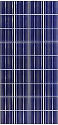 Lexron LXR-170P 170 W Polikristal Güneş Paneli