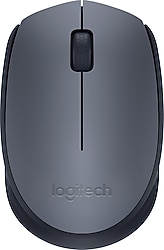 Logitech M170 Optik Wireless Mouse