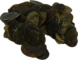 LokmanAVM Cin Tırnağı 100 gr