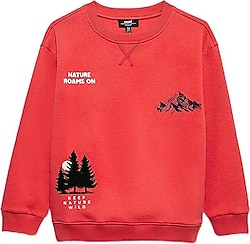 Mavi Nature Roams On Baskılı 6S10148 Çocuk Sweatshirt