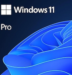Windows 11 Pro 64 Bit Türkçe Kutulu HAV-00159 İşletim Sistemi
