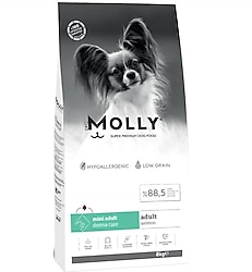 Molly Derma Care Somonlu 8 kg Küçük Irk Yetişkin Köpek Maması