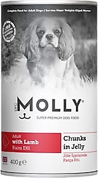 Molly Jöleli Parça Etli Kuzu Etli 400 gr Yetişkin Konserve Kedi Maması
