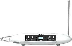 Moog Theremini Theremin