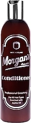 Morgan 's Pomade Erkek Şampuan 250 ml