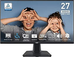 MSI PRO MP275Q 27" 1 ms 2K IPS 100 Hz Monitör
