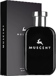 Muscent M180 Born Rome Men 50 ml Erkek Parfüm