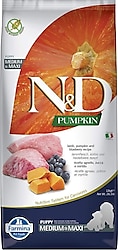 N&D Pumpkin Kuzu Etli Balkabaklı ve Yaban Mersinli 12 kg Orta ve Büyük Irk Yavru Köpek Maması