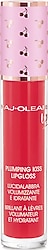 Naj Oleari Plumping Kiss Dolgunlaştırıcı 09 Raspberry Red Dudak Parlatıcısı