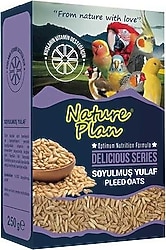 Nature Plan Delicious 250 gr Soyulmuş Yulaf