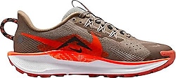 Nike Pegasus Trail 5 FV5638 Çocuk Koşu Ayakkabısı