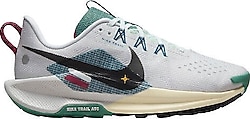 Nike Pegasus Trail 5 DV3865 Kadın Koşu Ayakkabısı