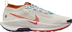 Nike Pegasus Trail 5 Gore-Tex FQ0908 Erkek Koşu Ayakkabısı