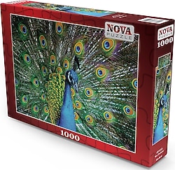 Nova Kur Zamanı 1000 Parça Puzzle 41113