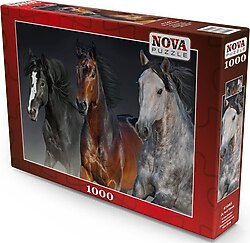 Nova Üç Asil Yürek 1000 Parça Puzzle 41045