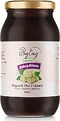 Organic Windy Valley Dut Pekmezi 460 gr