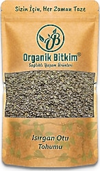 Organik Bitkim Isırgan Otu Tohumu 100 gr