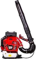 Palmera EB985A 5 Hp EUR5 Benzinli Üfleme Makinesi