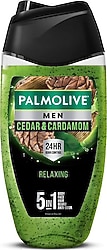 Palmolive Men 5'i 1 Arada Sedir & Kakule Kokulu 250 ml Erkek Duş Jeli