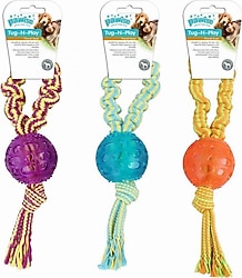 Pawise 32 cm Toplu Diş İpi Köpek Oyuncağı