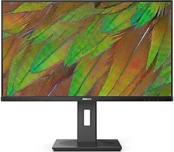 Philips 32B1N3800/00 31.5" 4 ms 4K 60 Hz Monitör