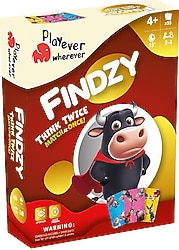 Playever Findzy Deluxe Eşleştirme Kart Oyunu