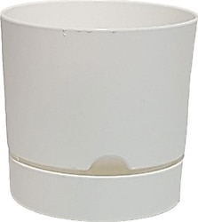 Poliwork Begonya 9 cm 5'li Plastik Tabaklı Saksı