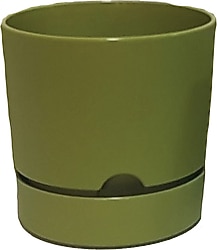 Poliwork Begonya 9 cm 5'li Yeşil Plastik Tabaklı Saksı