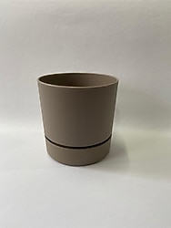 Poliwork Begonya 9 cm Sütlü Kahve Plastik Tabaklı Saksı