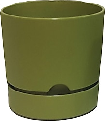 Poliwork Begonya 9 cm Yeşil Plastik Tabaklı Saksı