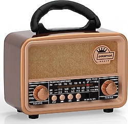 Polosmart FS103 Nostaljik Radyo