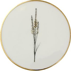 Porland Botanical Desen2 Bardak Altlığı 10 cm