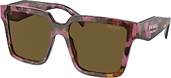 Prada PR 24ZS 18N01T Tortoise Begonia-Dark Brown Kadın Güneş Gözlüğü