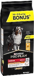 Pro Plan Medium Adult Tavuklu 16.5 kg Orta Irk Yetişkin Köpek Maması