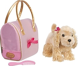 Pucci Pups C. Spaniel