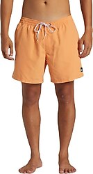 Quiksilver Everyday Solid Volley 15 AQYJV03153 Erkek Deniz Şortu