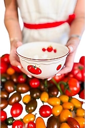 Rakle Pomodoro Stoneware 15 cm 4'lü Çorba Kasesi
