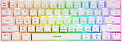 Rampage B-ATOM KB-RX63 RGB TKL Blue Switch Kablolu/Kablosuz Mekanik Oyuncu Klavyesi