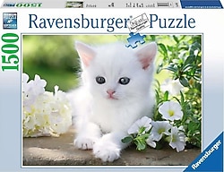 Ravensburger Beyaz Kedi 1500 Parça Puzzle 162437